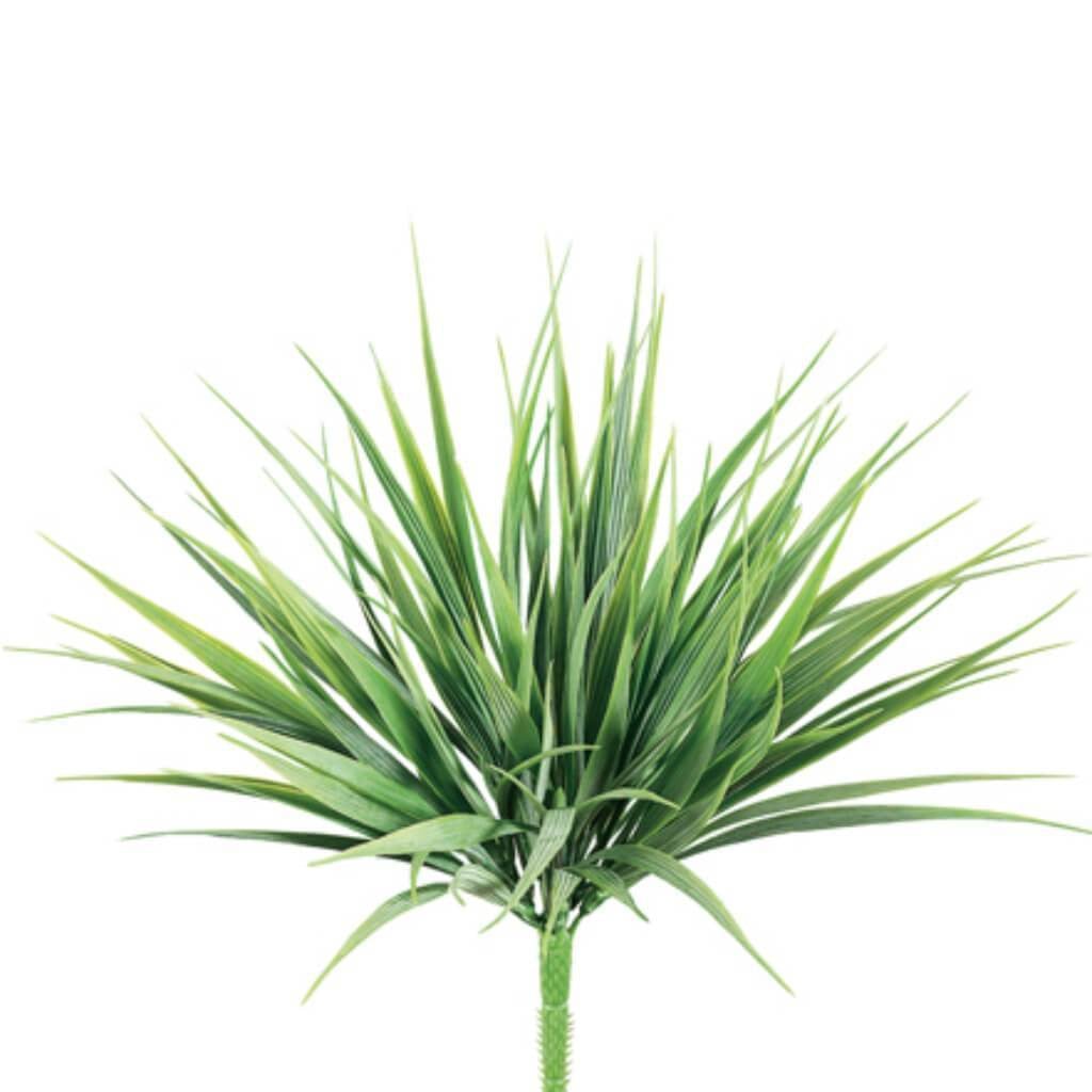 12"Vanilla Grass Bush 98L Grfs 
