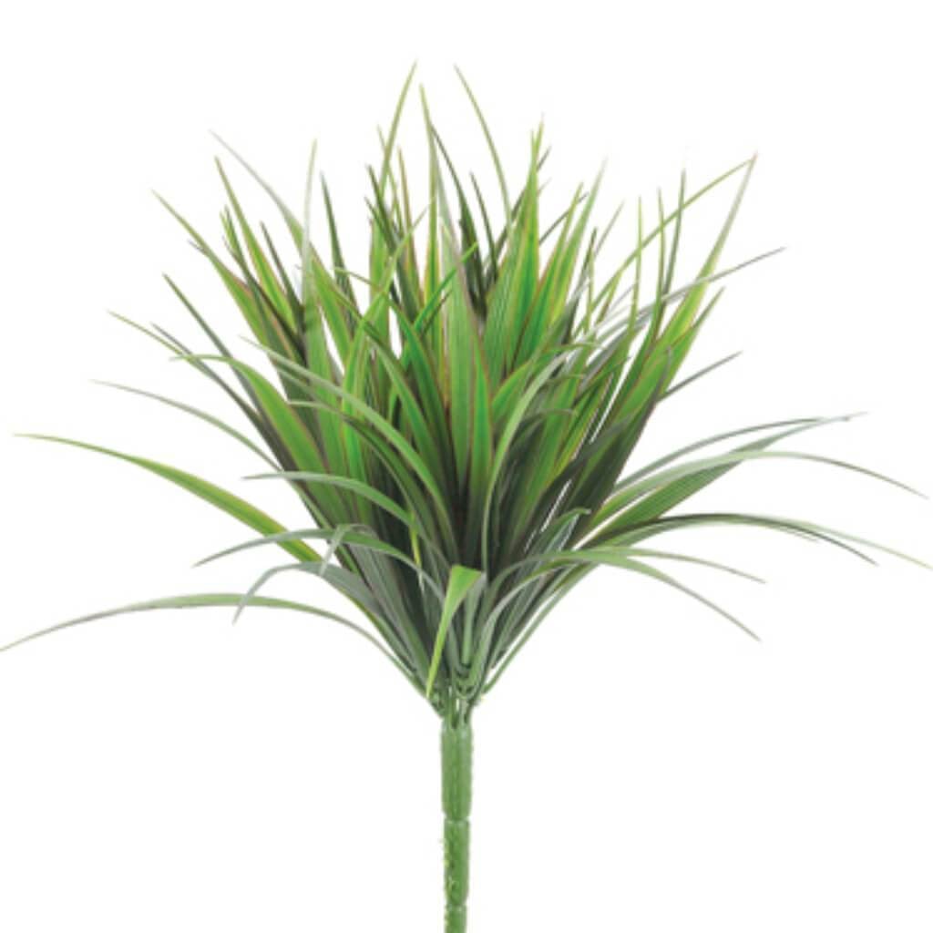 12&quot;Vanilla Grass Bush 98L Grre 