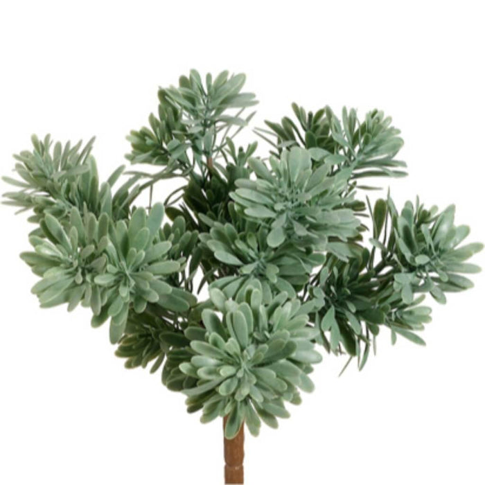 9"Succulent Grass Bu.X7 Gr/Fs 