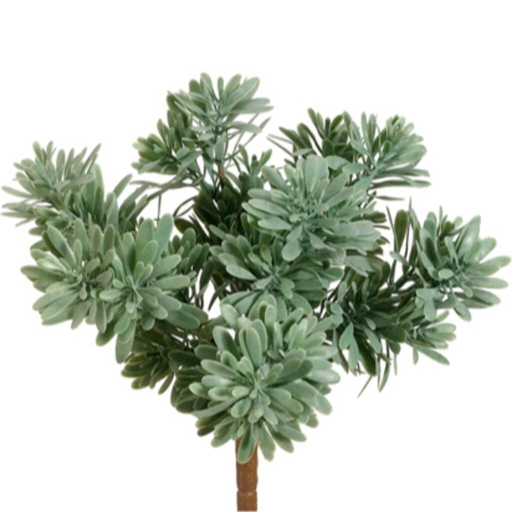 9"Succulent Grass Bu.X7 Gr/Fs 