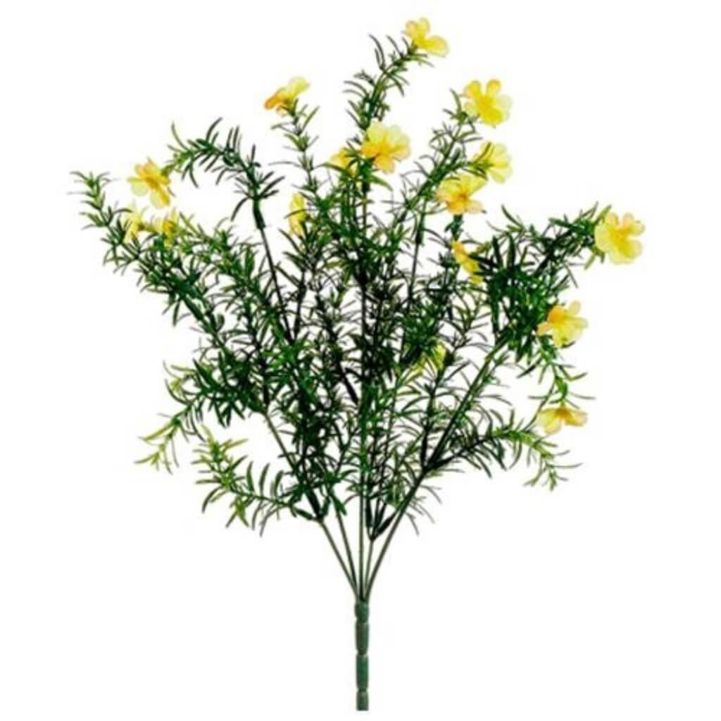 17"Flowering Springeri Bush Ye 