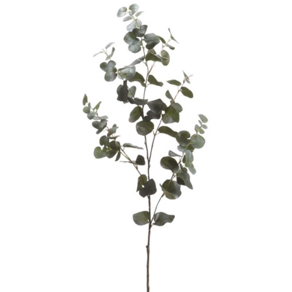 40&quot;Eucalyptus Spray Gr 