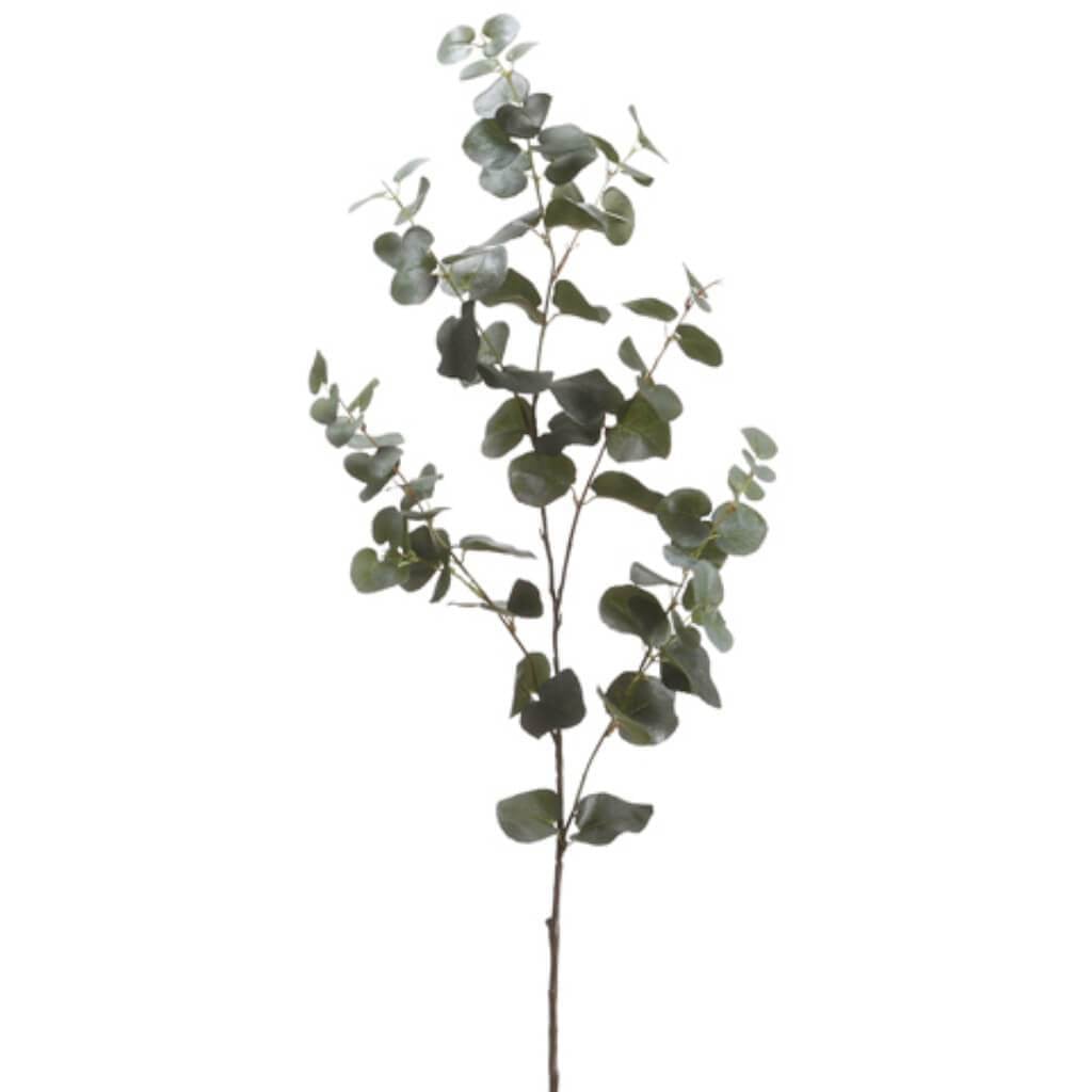 40"Eucalyptus Spray Gr 