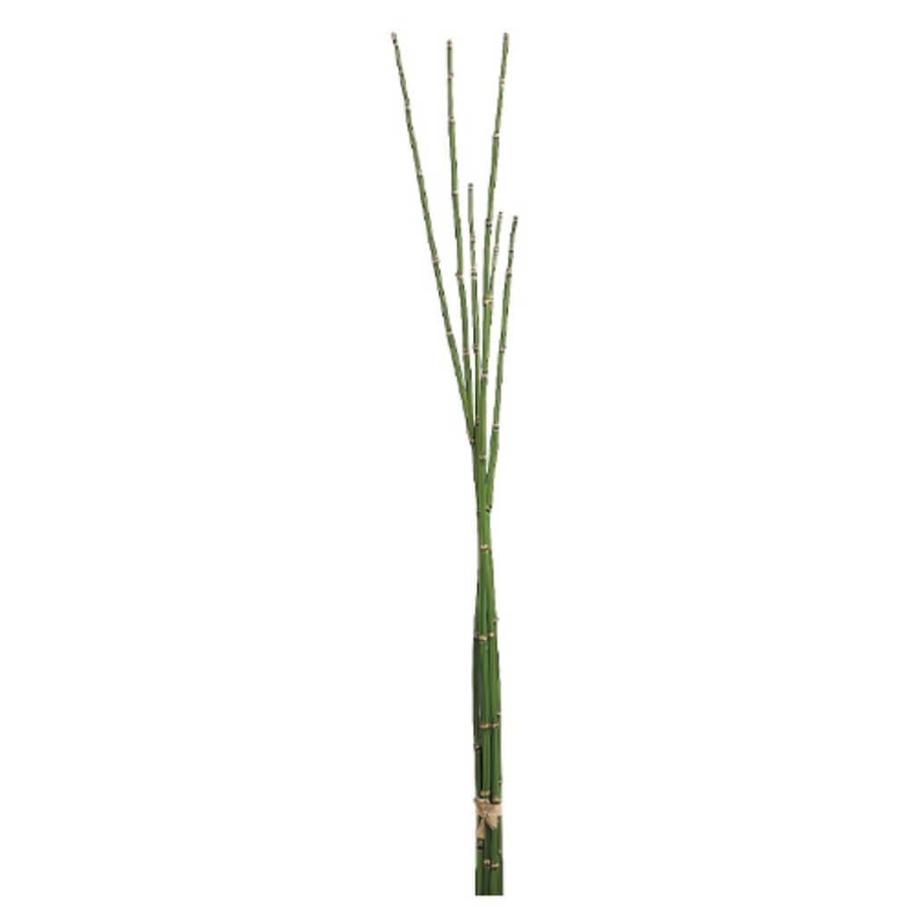 36"Horsetail Bundle X6 Gr 