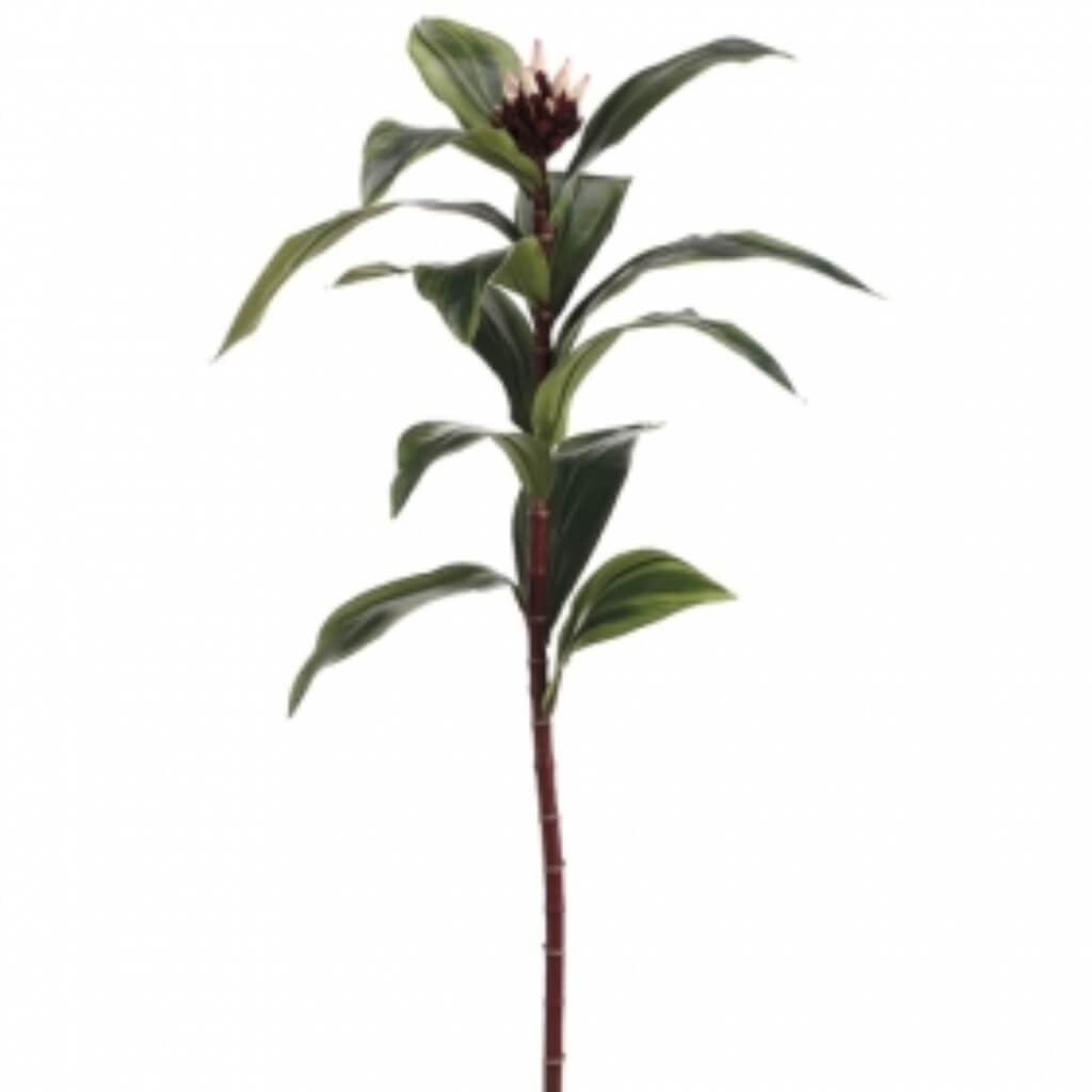 38"Tropical Leaf Stem Gr 