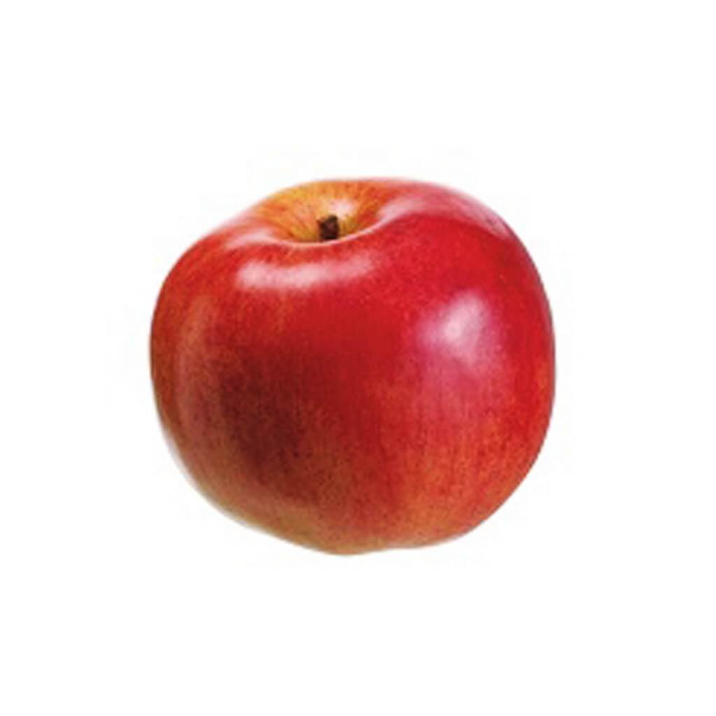 3.9"Foam Weighted Apple Re 