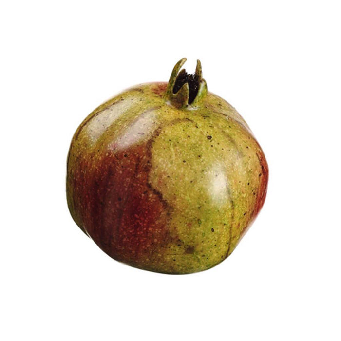 3.9"Weighted Pomegranate Gr/Re 