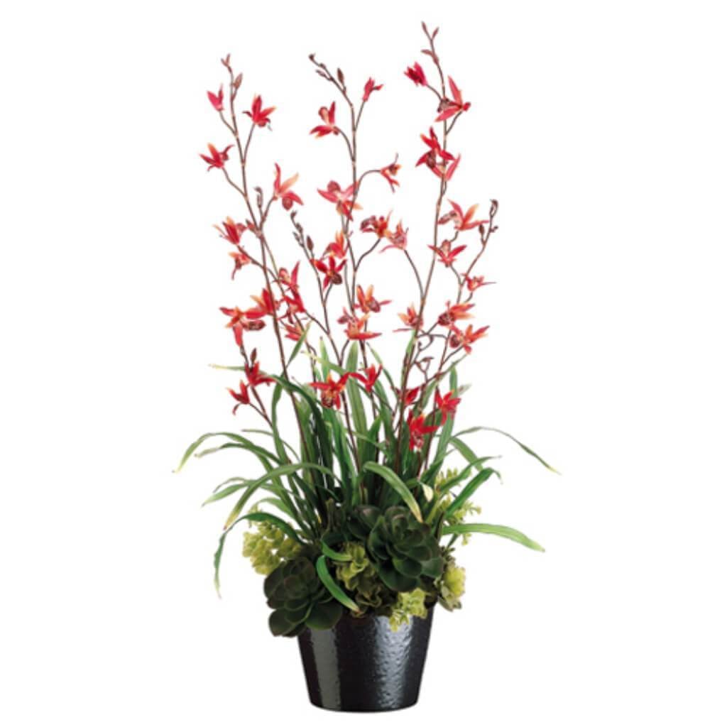38H20W20"L Dendrob/Succul(P)Bc 