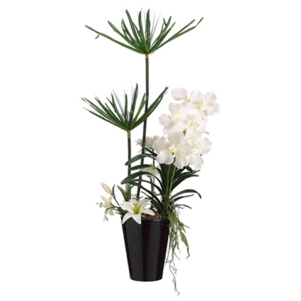 36H17W18"L Cypress/Vanda(P)Wh 
