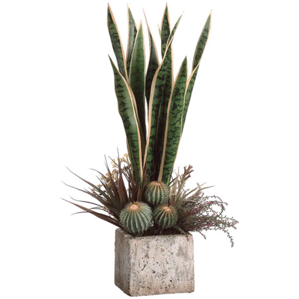 26H14W14"L Sanseveria/Laven(P) 