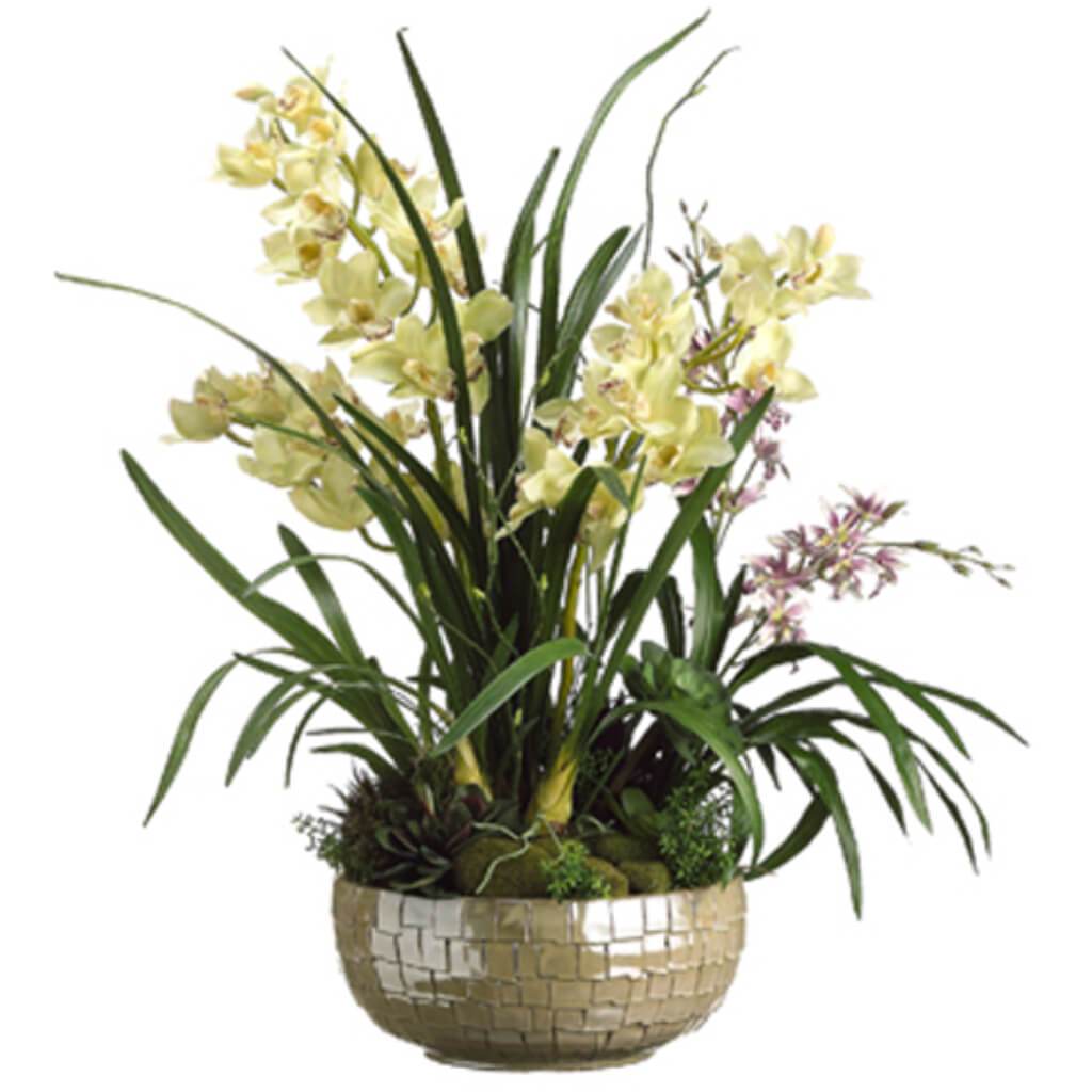 46H36W36"L Orchid/Succul(Bowl) 