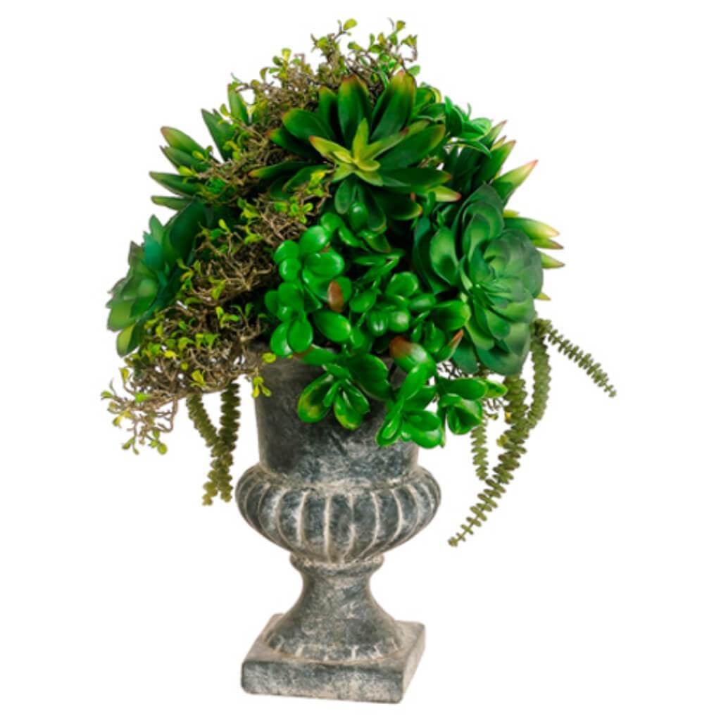 21H16W18"L Succulents In Urn 