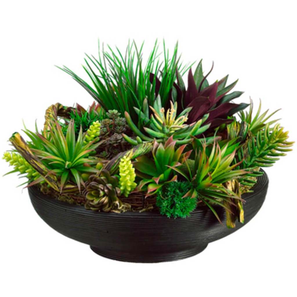 14H19W19"L Succulents/Grass(P) 