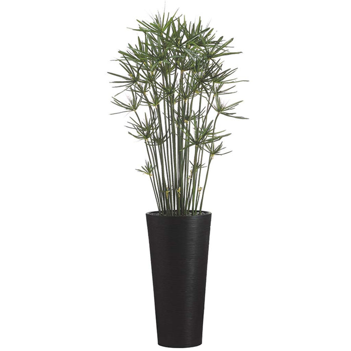 7.5'H Cypress In Bamboo T.Cntr 