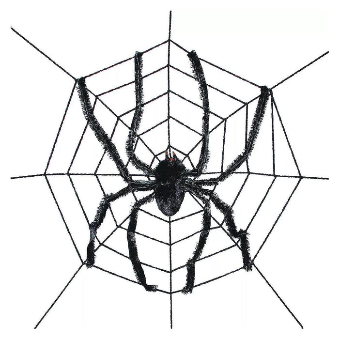 Spider Web With Giant Spider 