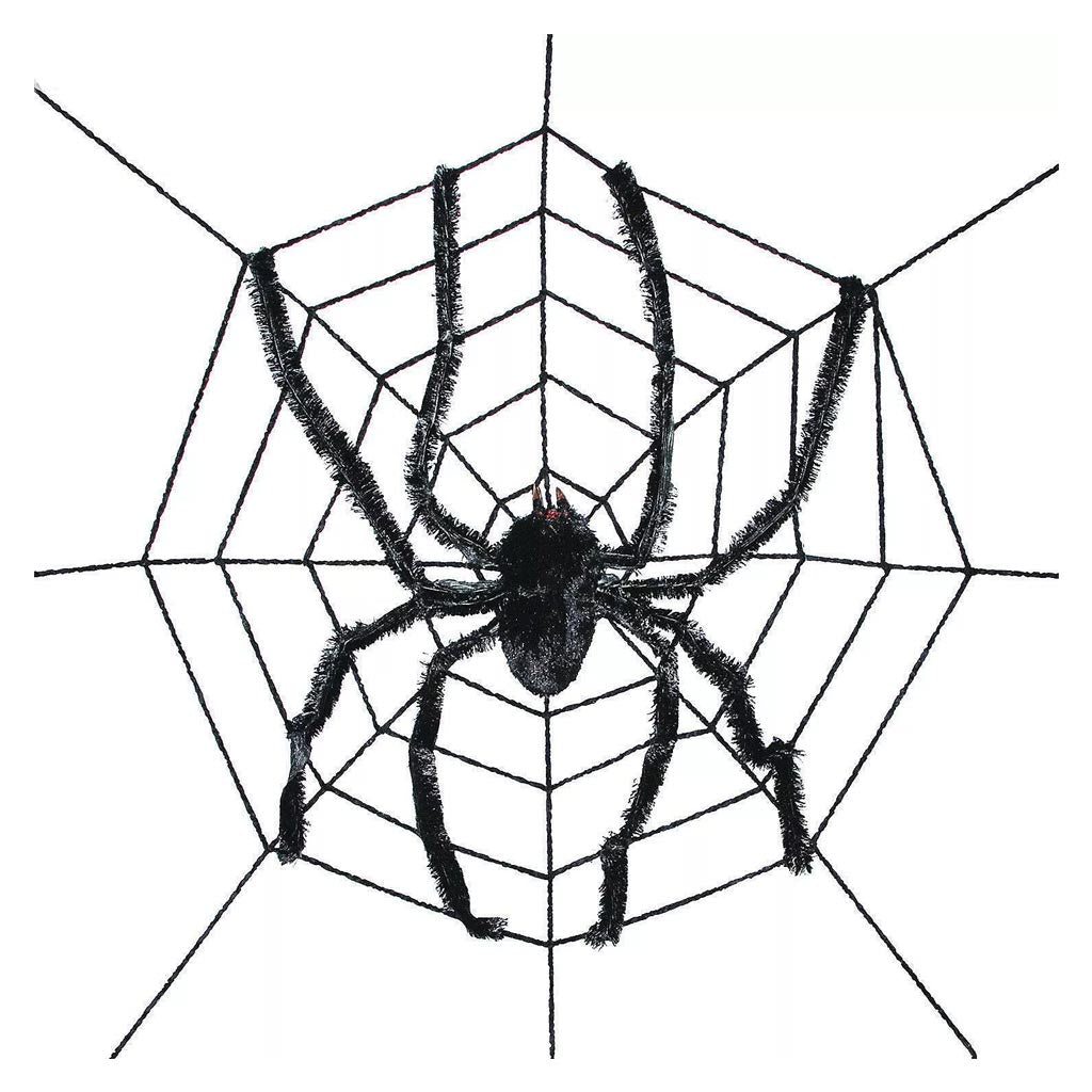 Spider Web With Giant Spider 