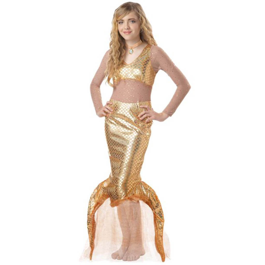 Mermaid Costume