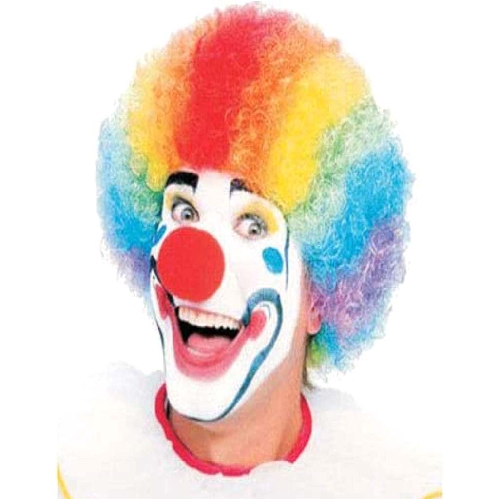 Multi Colored Clown Wig 