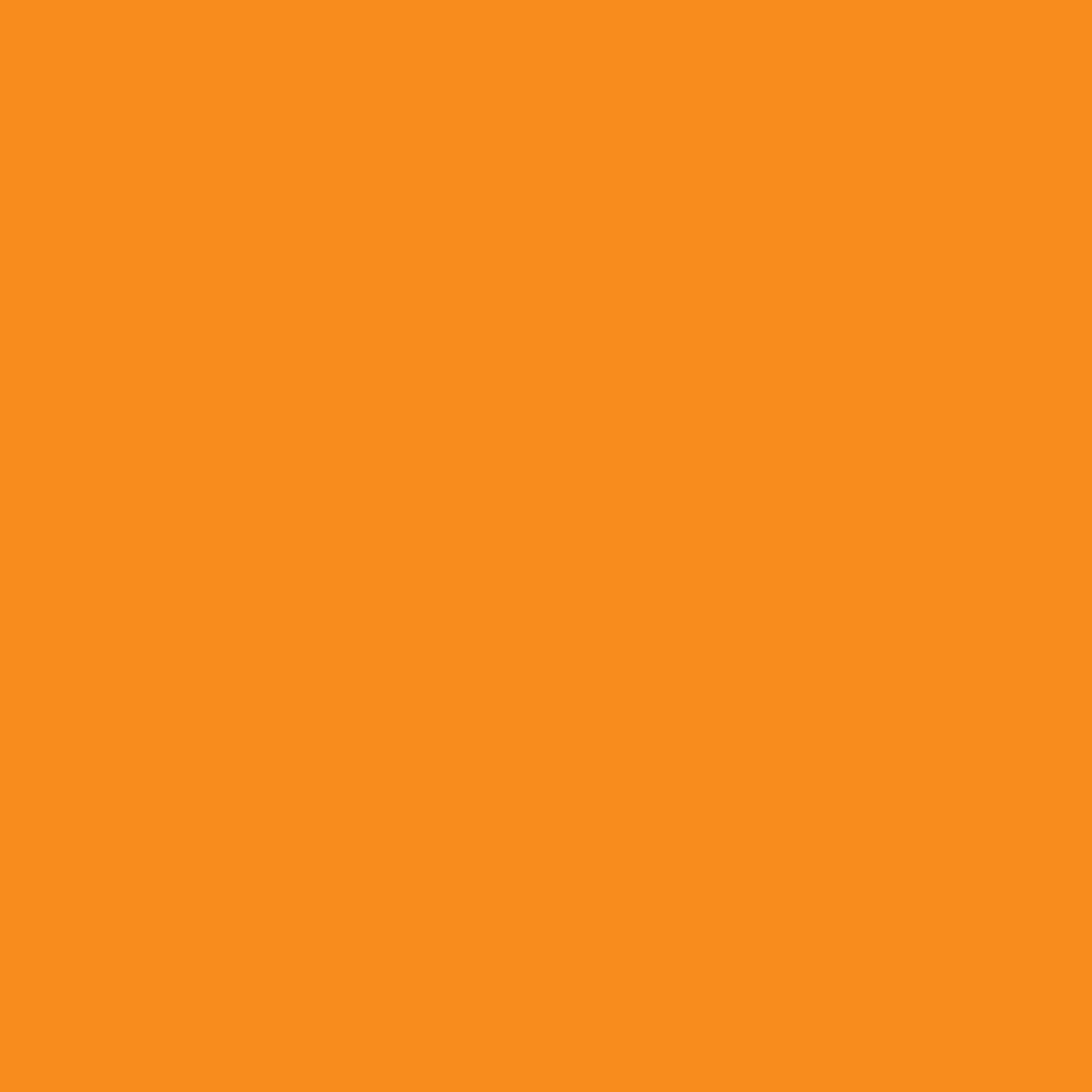 Foamies® Foam Sheet Orange 3mm thick 12 x 18 inches 