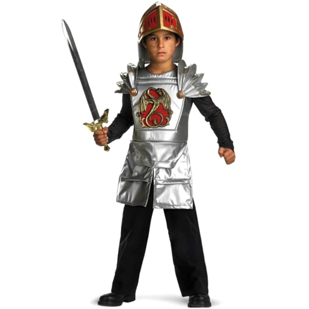 Knight Of The Dragon Costume