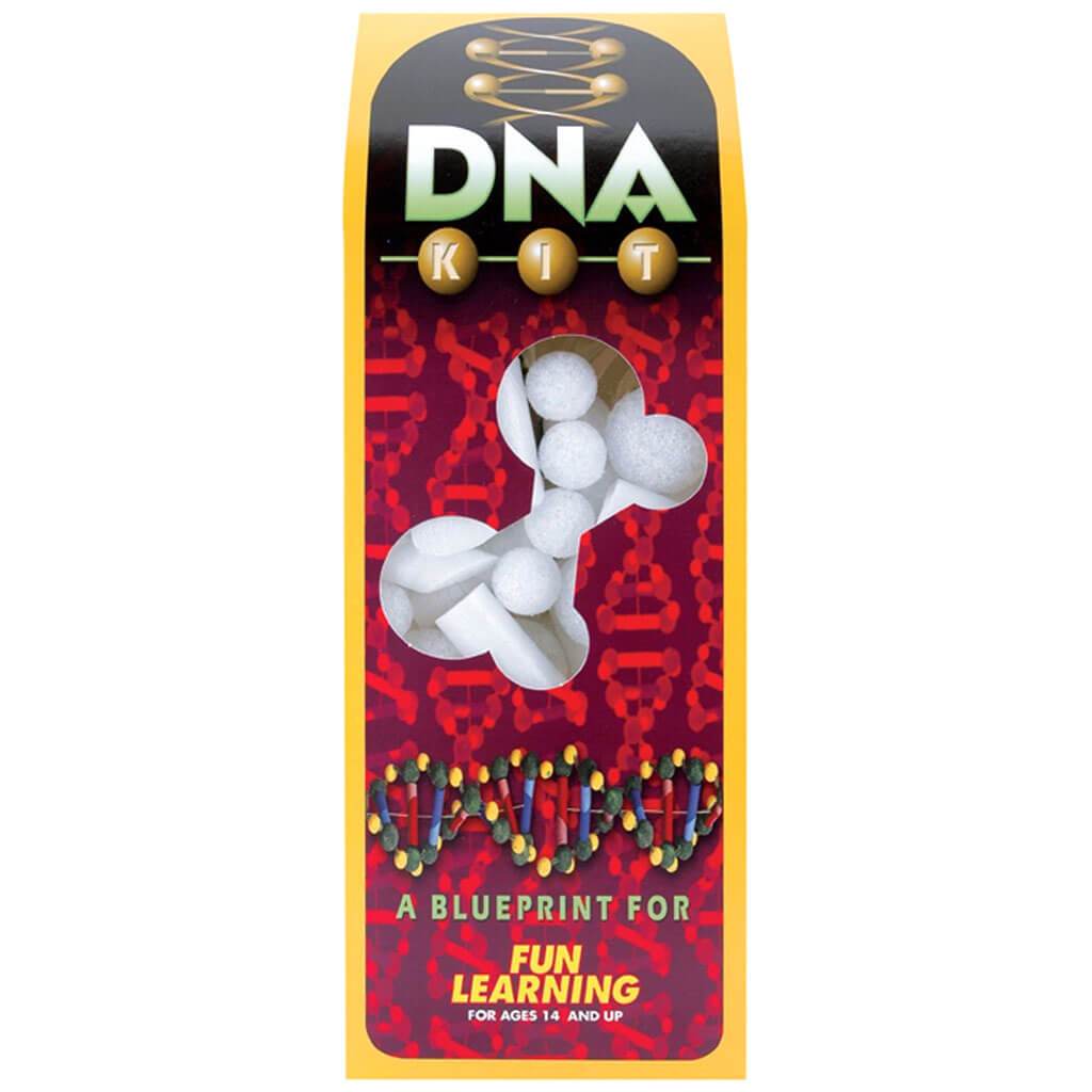 Styrofoam DNA Model Kit Box