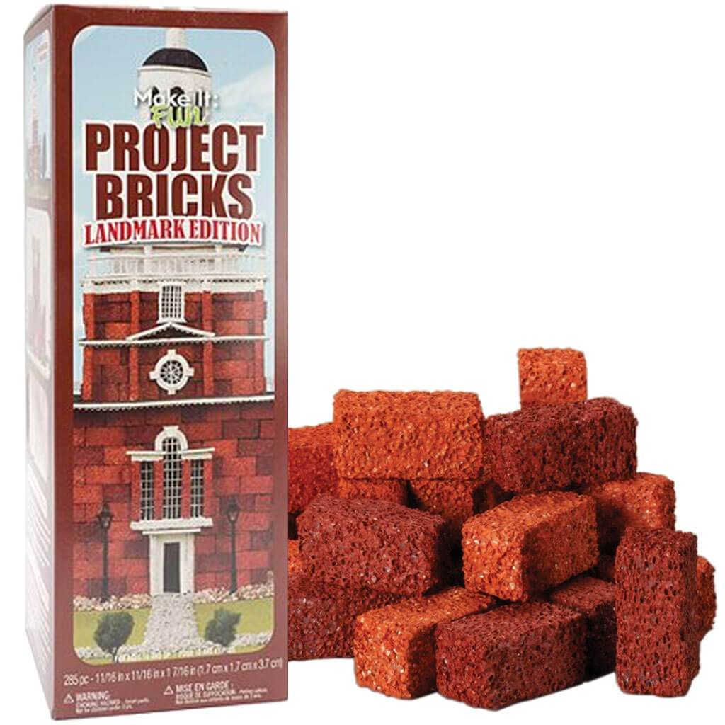 Styrofoam Make It Fun Project Bricks Landmark Edition