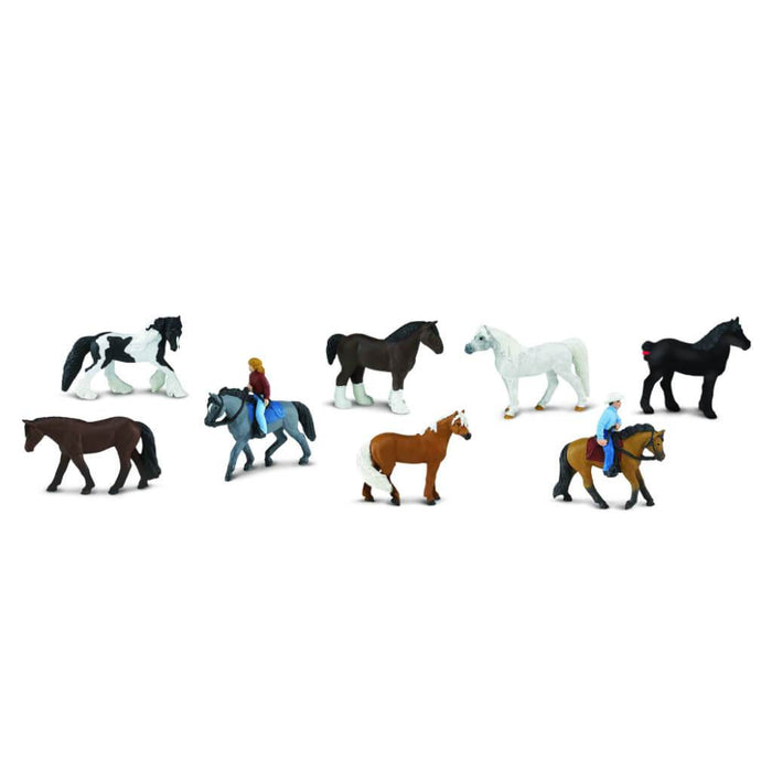 Horses & Riders 