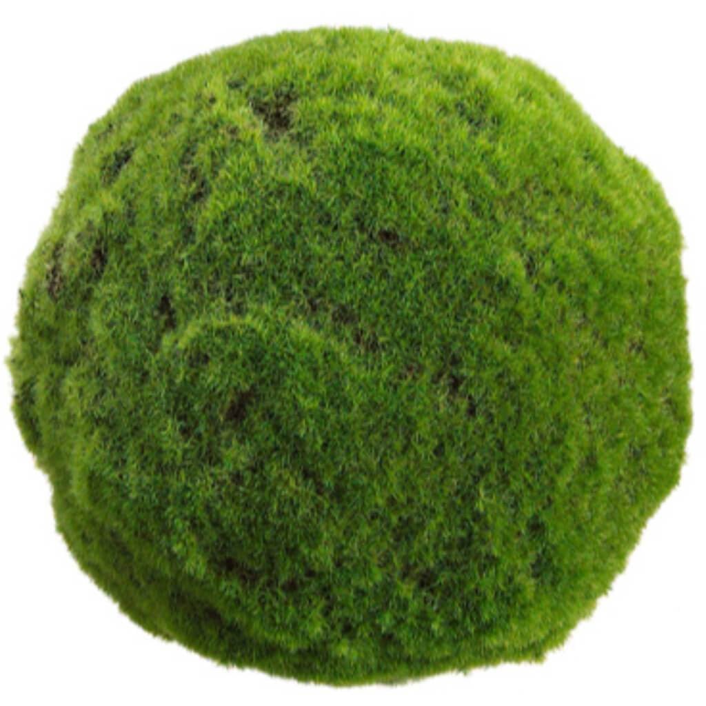 9.5"Moss Ball Gr 