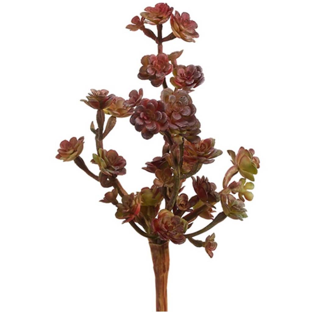 Sedum Pick 9" Gr/Bu 