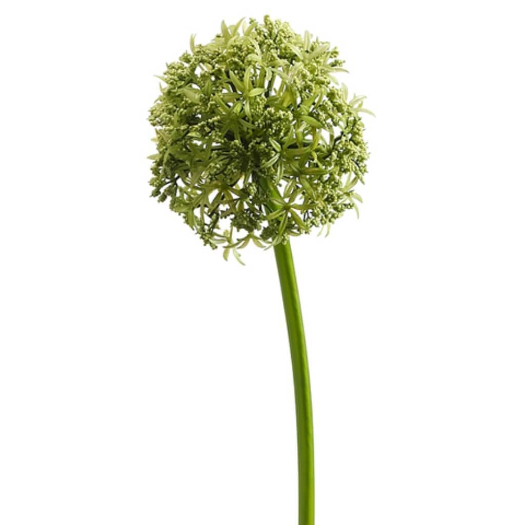 31&quot;Allium Spray Gr 