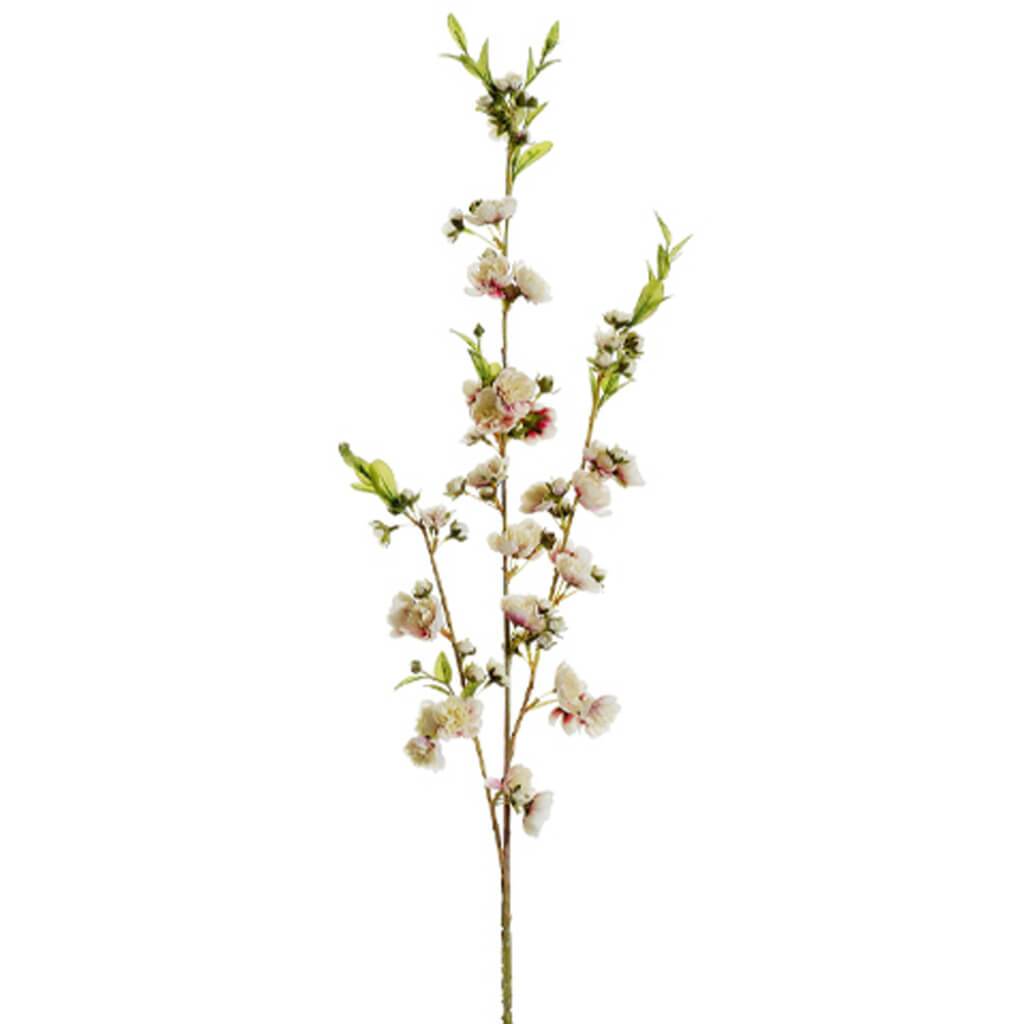 Hybrid Cherry Blossom Spray 41 