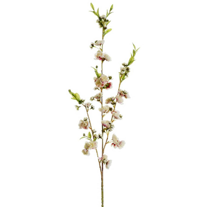 Hybrid Cherry Blossom Spray 41 