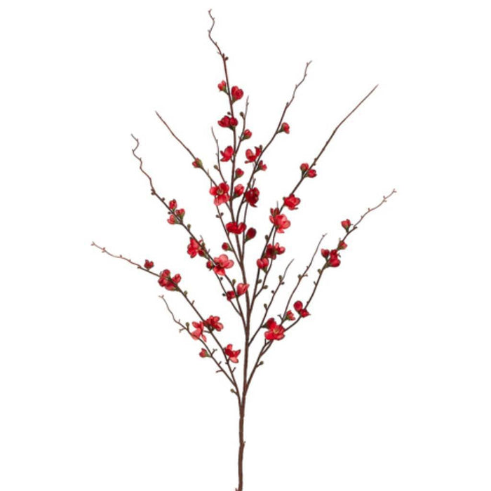Quince Blossom Spray Re 45in 