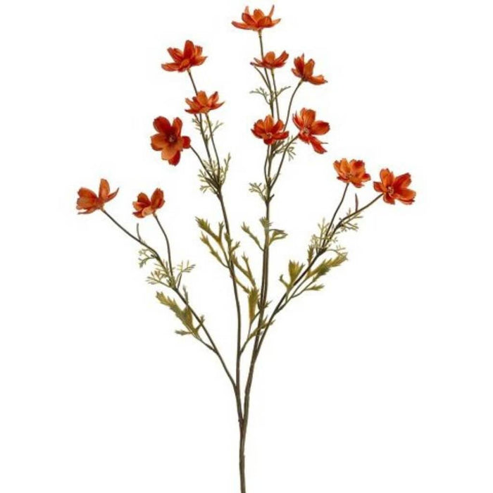 26"Baby Cosmos Spray Am 