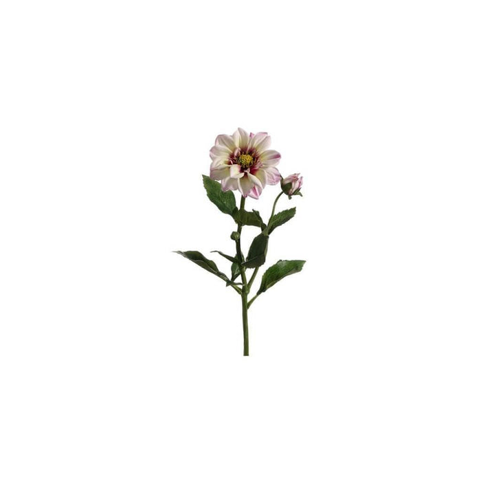 22"Dahlia Spray W/Bud Cr/Lv 