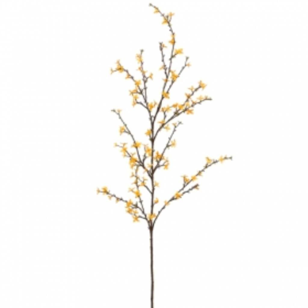 61&quot;Forsythia Spray Ye 