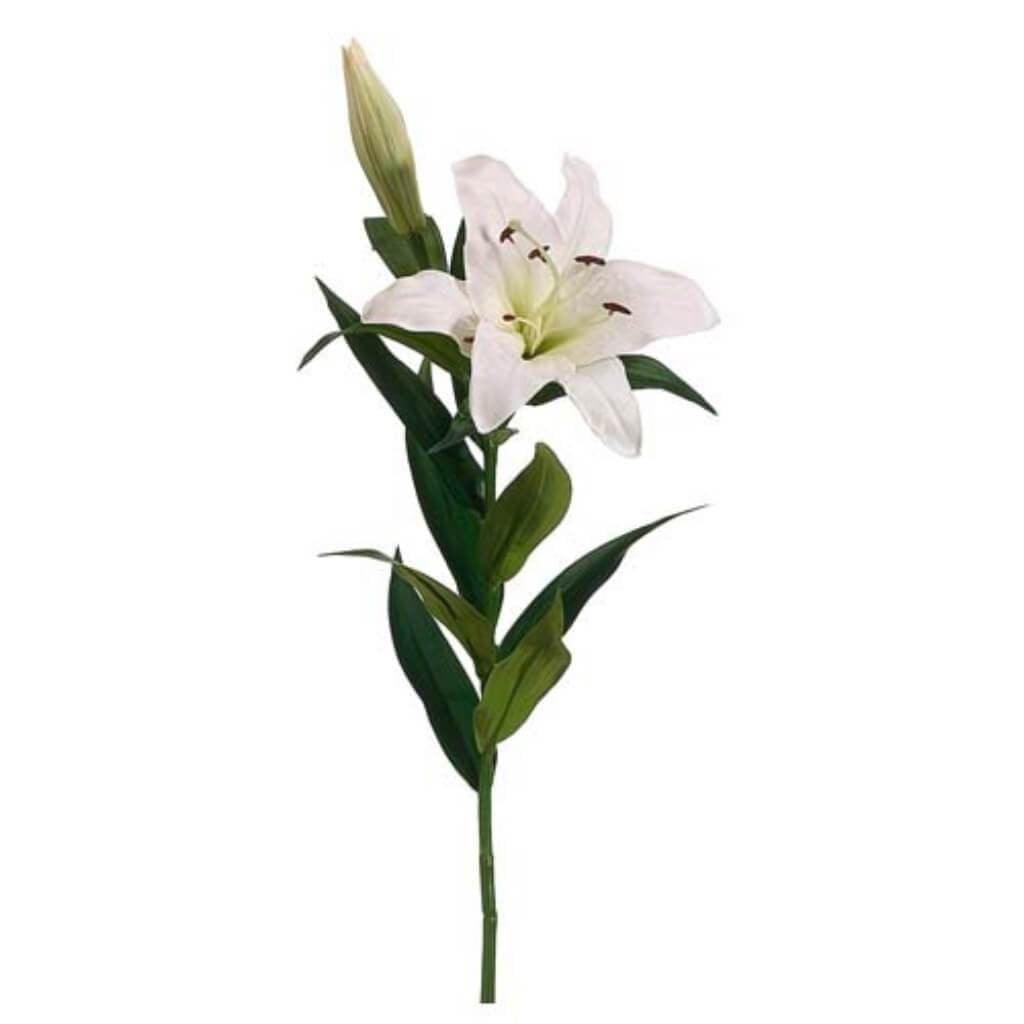 35"Stargazer Lily Spray Wh 