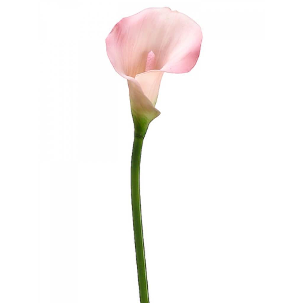 21"Pvc Calla Lily Stem Pk 