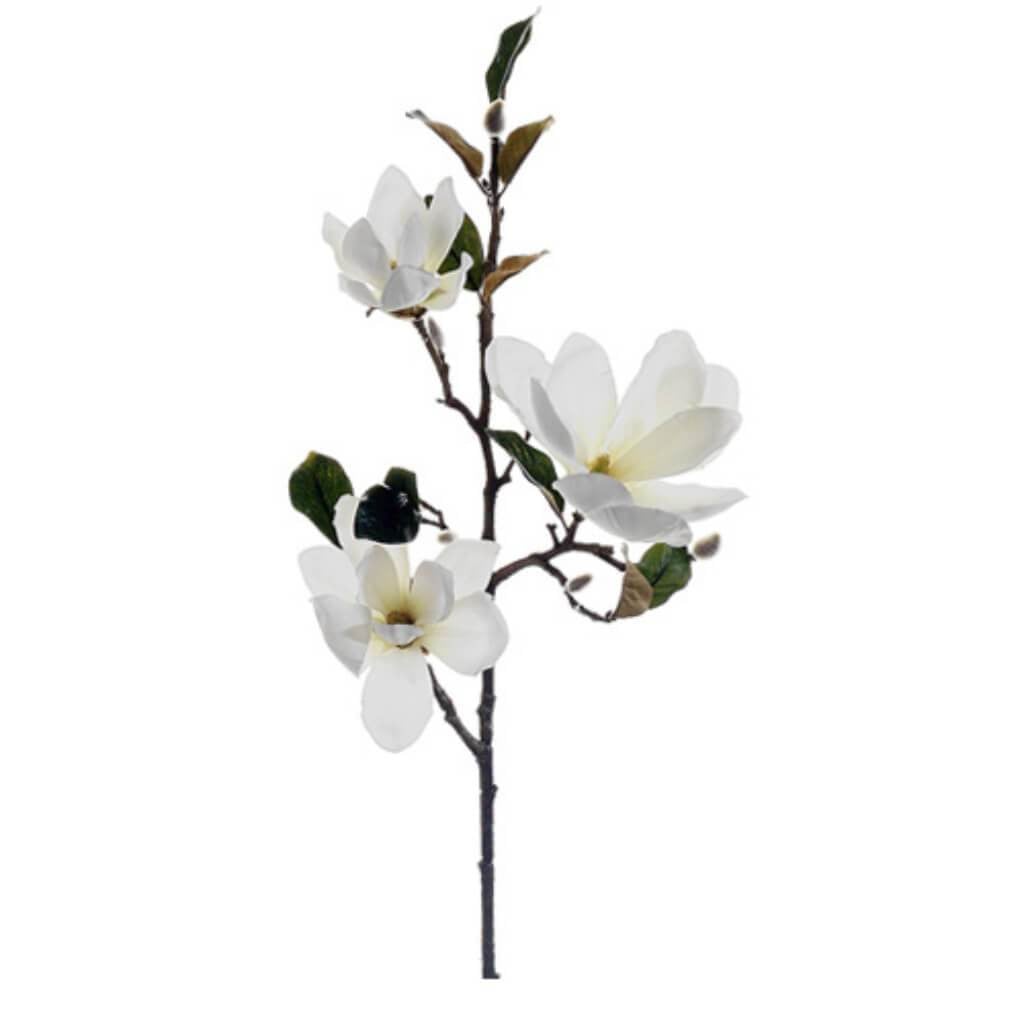 37"Magnolia Spray Cr/Wh 