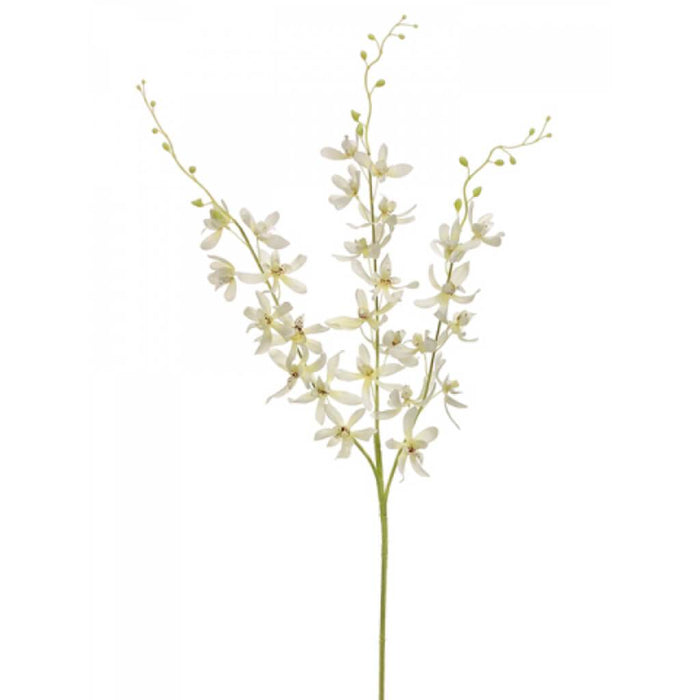 Dendobium Spray 39" X3 