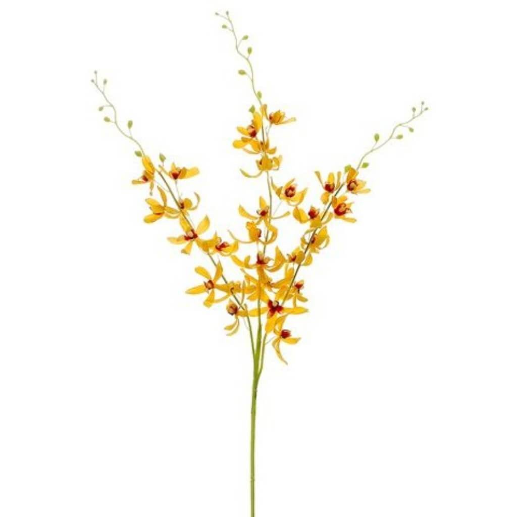 39"Dendrobium Spray X3 Ye/Re 