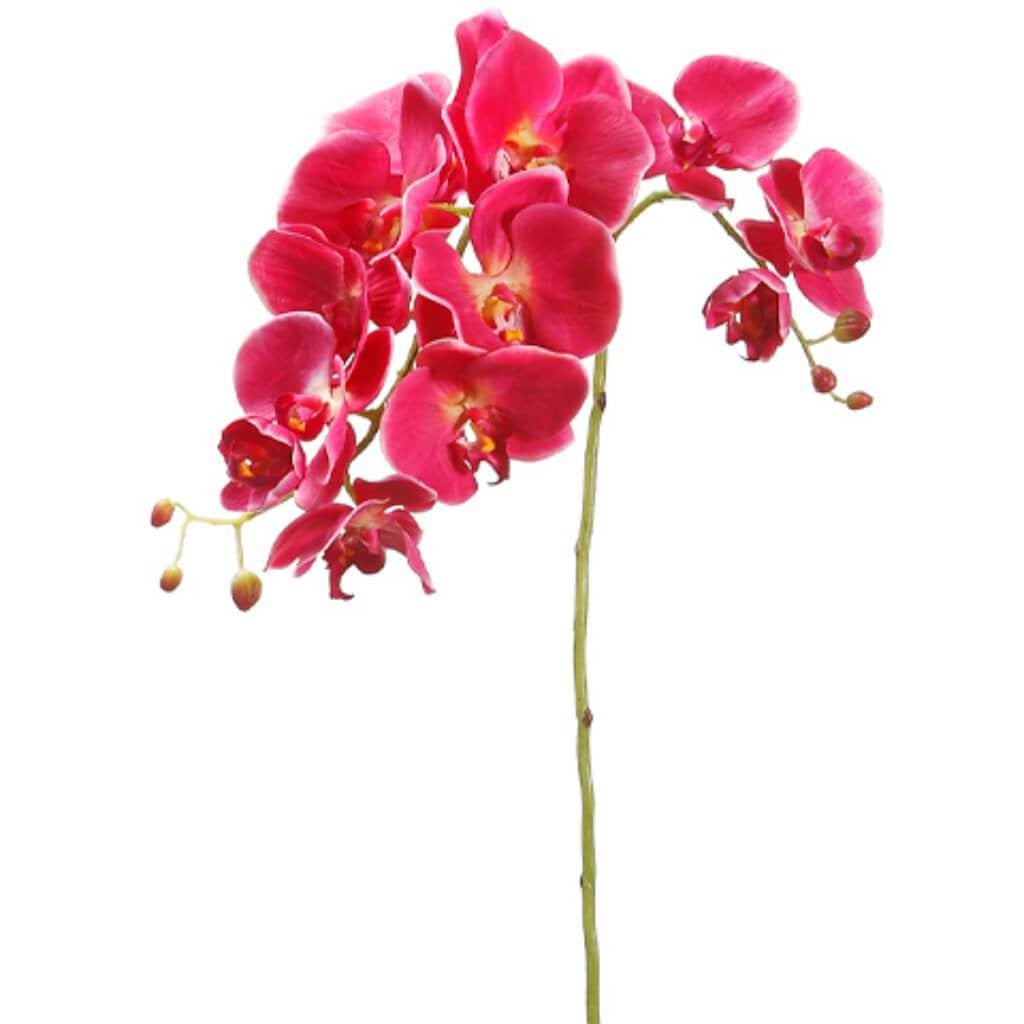 34"Phalaenopsis Spray Fu 