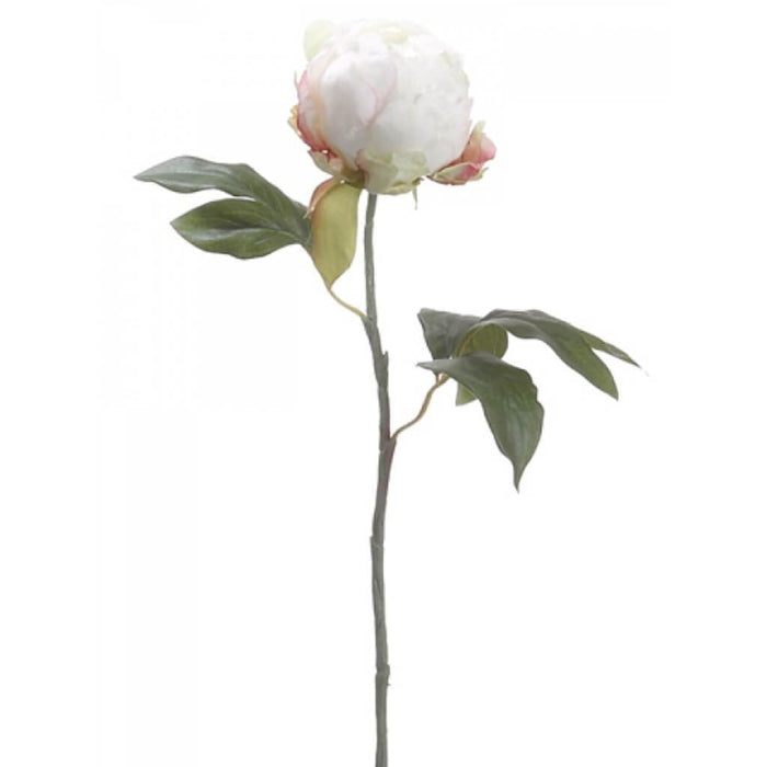 18"Peony Bud Spray Cr 