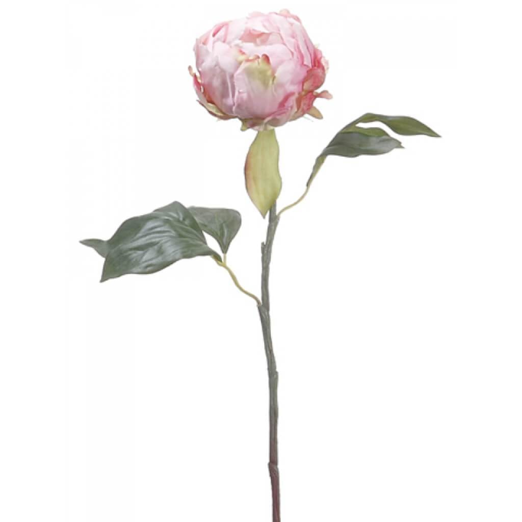 18"Peony Bud Spray Pk 