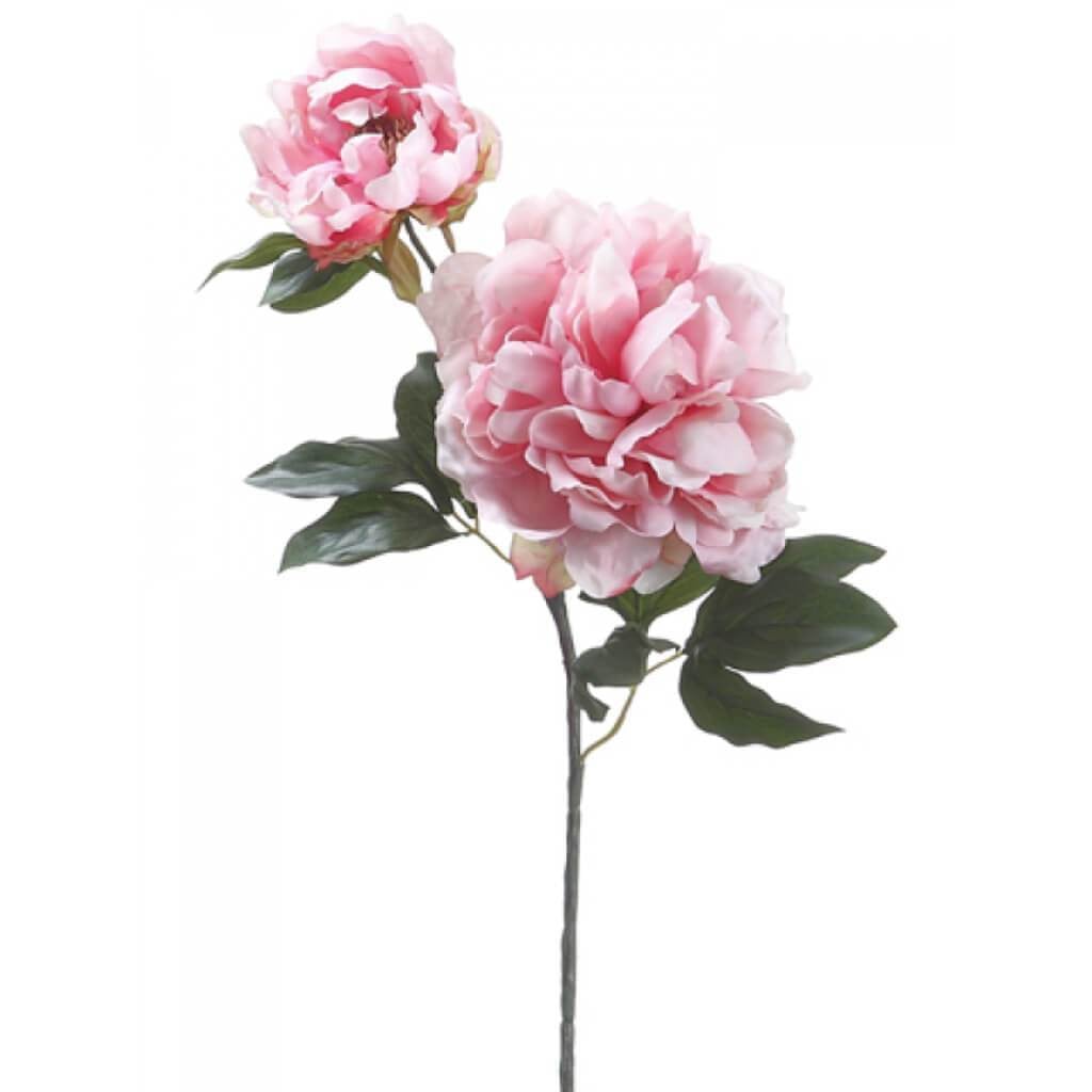 19.5"Peony Spray W/Bud Pk 
