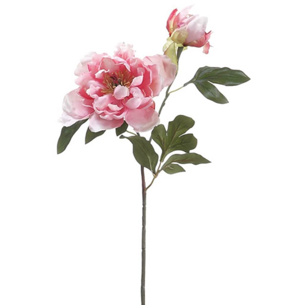 19.5"Peony Spray W/Bud Pk 