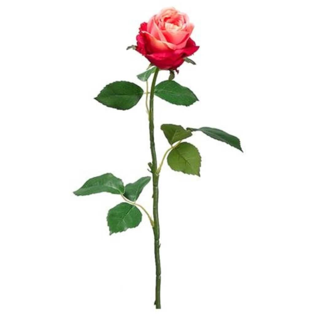 26"Cott.Rose Bud Spray Co/Bt 