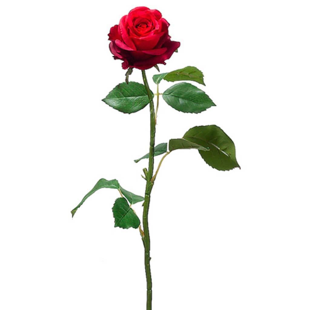 26&quot;Cott.Rose Bud Spray Re 