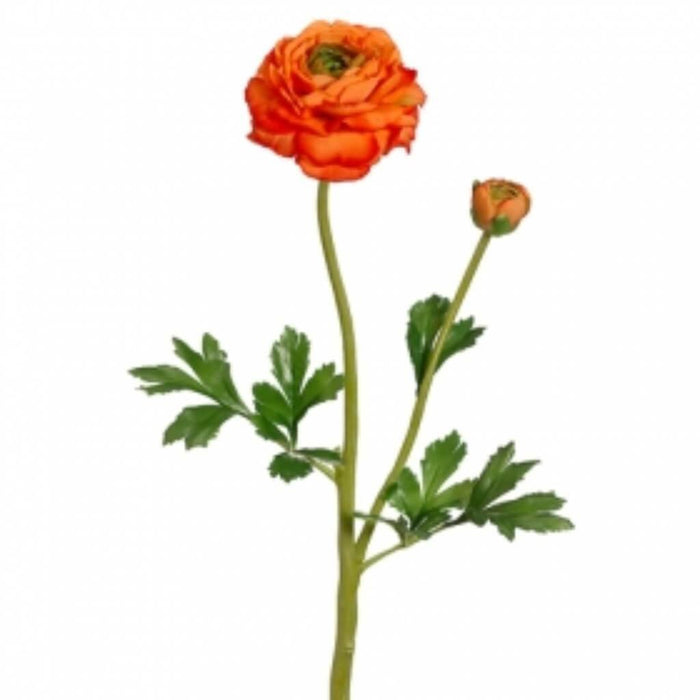 20"Ranunculus Spray W/Bud Or 