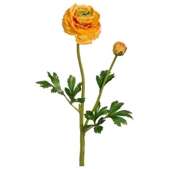 20"Ranunculus Spray W/Bud Ye 